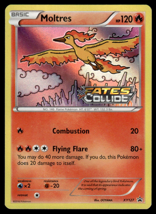 LP - Moltres XY127 - Holo - XY Promos