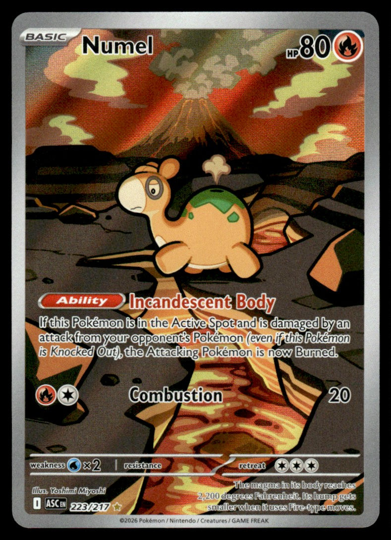 Numel 223/217 - Ascended Heroes - Mega Evolution