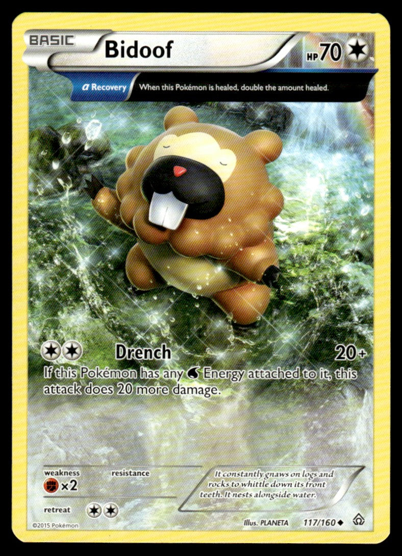 Bidoof - No Holo - NM - 117 - Primal Clash