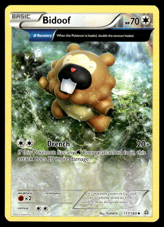 Bidoof - No Holo - NM - 117 - Primal Clash