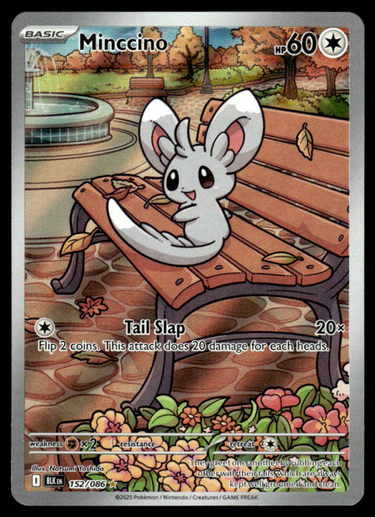 Minccino 152/086 - Black Bolt - Scarlet & Violet