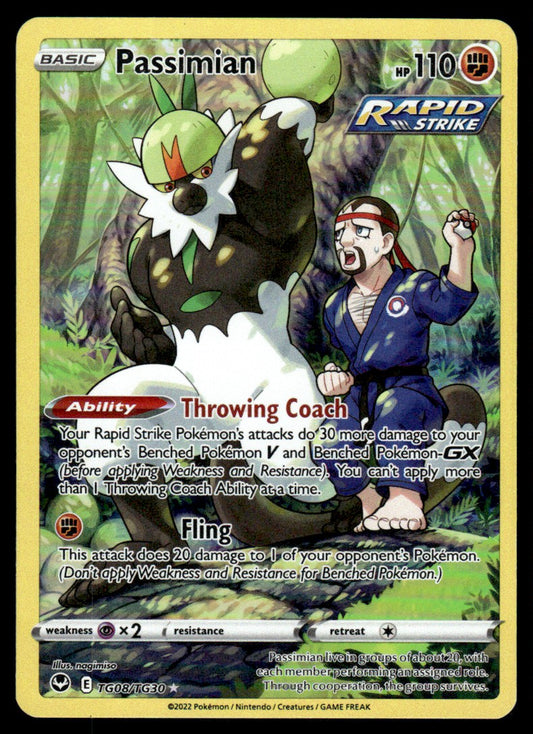 Passimian TG08/TG30 - Silver Tempest - Trainer Gallery - Sword & Shield